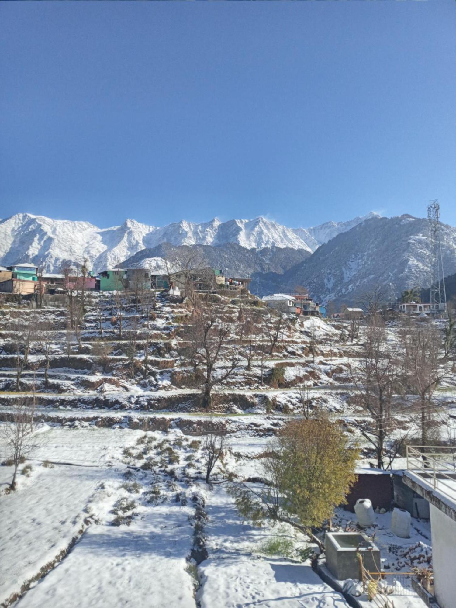 Nirmal Homestay Dharamshala Exterior photo