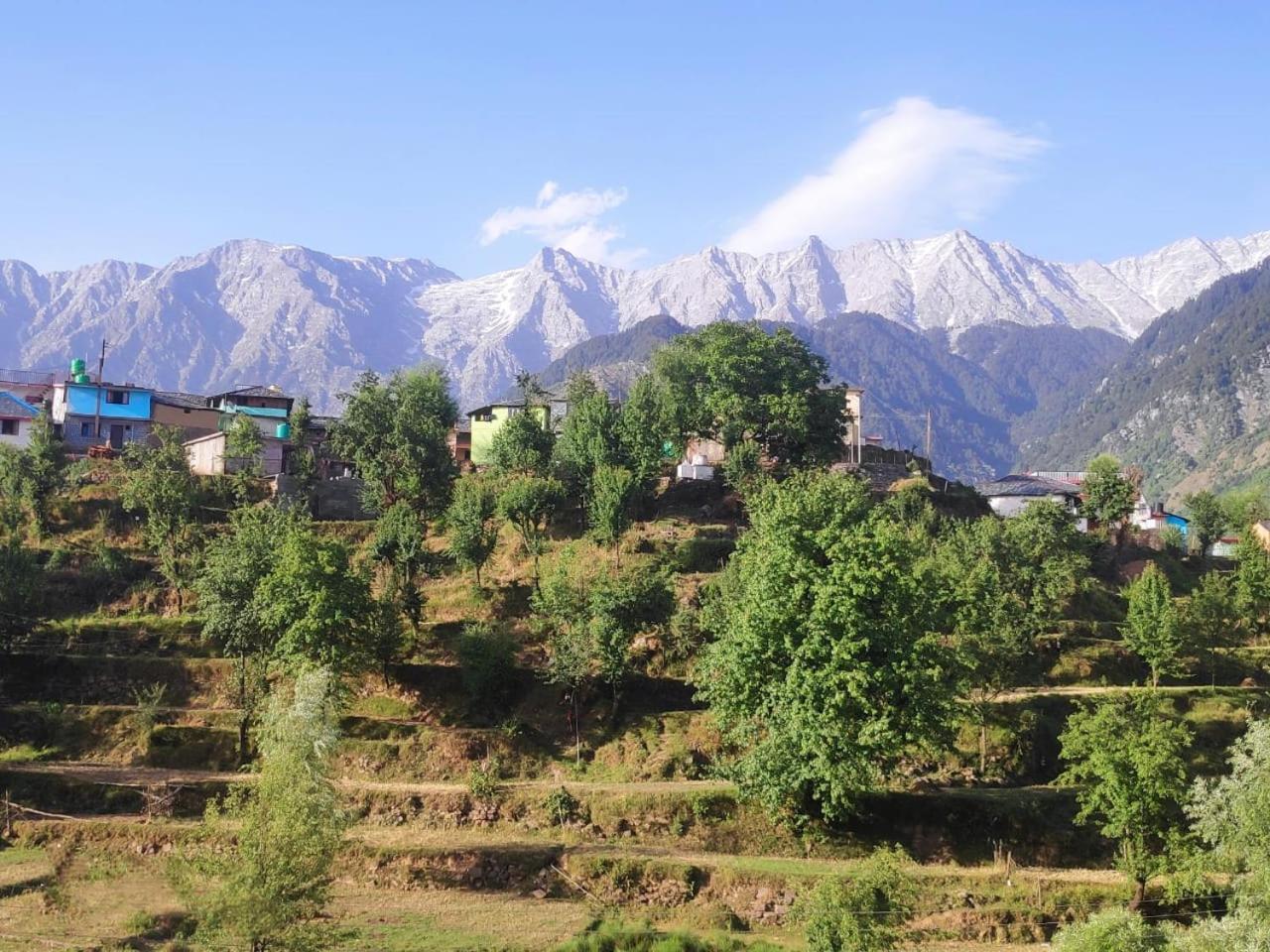 Nirmal Homestay Dharamshala Exterior photo